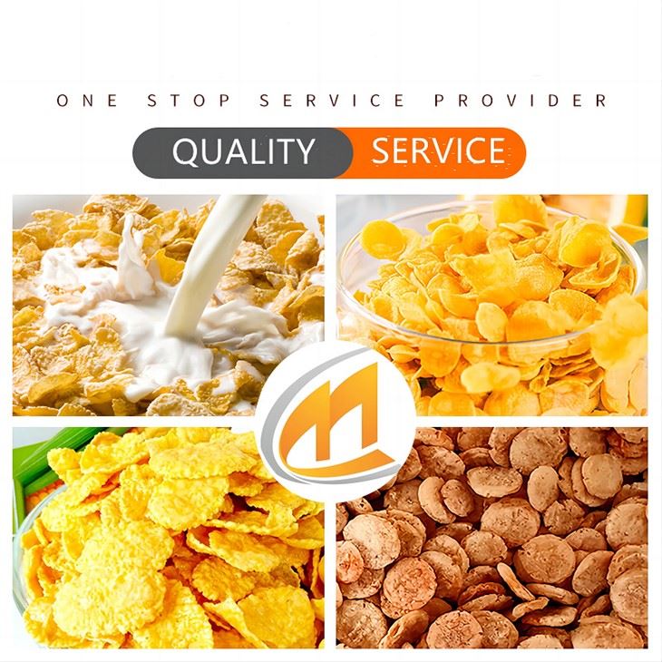 Corn Chips Making Machine