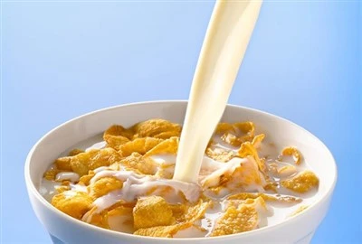 Breakfast Cereal Making Machine