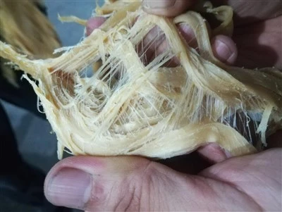 Vegetarian Meat Extruder Machine
