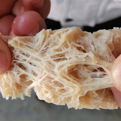 Textured Soy Protein Manufacturing Process